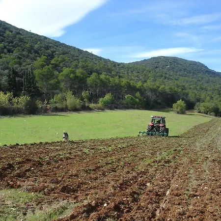 Holiday home Casa Rural Masia Barbera *